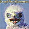 Crash test Dummies - A worm's life